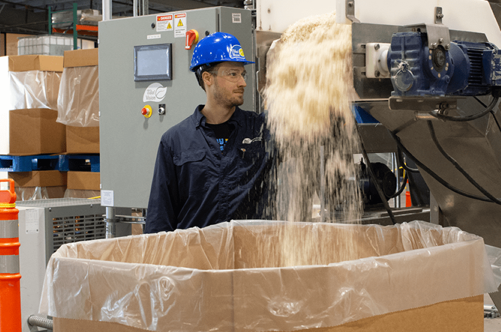 Pippa Norman – All you need to know about Pippa on one handy page.